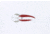 Dardevle Dardevlet Klicker Spoon, 2 7/8in, 3/4oz, Red/White Stripe, Nickel Back, 2716