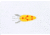 Dardevle Dardevlet Klicker Spoon, 2 7/8in, 3/4oz, Yellow/Red Diamonds, Brass Back, 2717