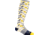 Darn Tough Daisy Chain Knee High Light Cushion Sock - Womens, Ivory, Small, 1694-IVORY-S-DARN