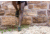 Darn Tough Run No Show Tab Ultra-Lightweight w/ Cushion Running Sock - Mens, Fatigue, Medium, 1039-FATIGUE-M-DARN