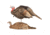 Dave Smith Decoys Breeding Pair Decoy, Black 87106