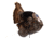 Dave Smith Decoys Jake Strutter Decoy