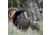 Dave Smith Decoys Upright Hen Decoy