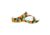 Dawgs PAW Print Z Sandals - Womens, Mahalo, 7 US, ORZS.W.A.DPP-Ma.0007