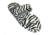 Womens Fluffy Z Slippers, Zebra, 9-10