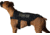 DDT Sgt Stubby K-9 Vest, 20-26 Chest, Black, Small, 52410