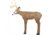 Delta McKenzie Blemished Intruder Deer 3D Archery Target, Brown, 50460-BLEM