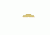 DELTAC Extended Steel Slide For Glock Model 17, 19, 26 ,34 Gen5,Golden Metallic, GLC101-G5G