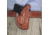 DeSantis The Maverick Holster, Tan, Left Hand, 012TBZ3Z0