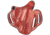 DeSantis Thumb Break Scabbard Belt Holster, Right Hand, Tan, 001TA02Z0