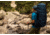 Deuter Aircontact 75 + 10 Backpack - Mens, Midnight/Navy, 85L, 332071933650