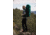 Deuter Aircontact Lite Backpack 65L + 10, Alpinegreen/Forest, 434031822310