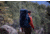 Deuter Aircontact Lite Backpack 65L + 10, Navy/Arctic, 434031833960