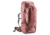 Deuter AViANT Voyager 60+10 SL Pack, Caspia/Raisin, 351302556180