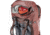Deuter AViANT Voyager 60+10 SL Pack, Caspia/Raisin, 351302556180