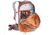 Deuter Race 16 W/2L Backpack, Chestnut/Redwood, 16 L, 320422395120