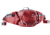 Deuter Pulse 3 Hip Belt - Unisex, Cranberry, One Size, 393521950000