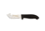 Dexter Outdoors Sani-Safe 4in Skinning Knife with Gut Hook, Black Handle, SG13-4B-PCP