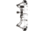 Diamond Radian Bow Package 1503423