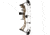 Diamond Radian Bow Package 1503424