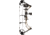 Diamond Radian Bow Package 1503424