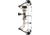 Diamond Radian Bow Package 1503424