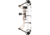 Diamond Radian Bow Package 1503425