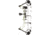 Diamond Radian Bow Package 1503426