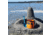 DMOS Mini Nomad Shovel, Blue, 32705