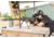 DNT Optics Zulus HD 3-12x V2 Night Vision Riflescope w/ Laser Rangefinder