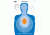 Do All Outdoors Accu Blue Layered Silhouette Paper Target 12X18 PT15