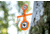 Do All Outdoors Handgun Tree Spinner Target