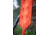 Do All Outdoors Triple Clay Launcher, Orange, 1, 2 or 3 Clays, TC123
