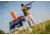 Do All Outdoors USA Clay Edition Clay Pigeon 50 Stack Auto Trap, USAAT20