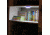 Dorcy Portable LED Area Light with Push Button and Hanging Hook, Pink, Blue, Purple, Green, 41-1067