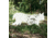 Double Tap Industries AR500 Bobcat Target w/Reactive Vital, Raw, RT-GT-BOB