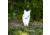 Double Tap Industries Front Facing AR500 Coyote Target w/Reactive Vital, Raw, RT-GT-COY-002