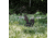 Double Tap Industries Rimfire Squirrel Ground Stake Popper Target, Raw/Black, PT-GS-SQ-RIM