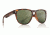 Dragon Marquis Sunglasses-Matte Tort-Green G15 P2