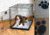 Drymate Crate or Kennel Pad, Paw Print Design, Tan, 20 x 28 CKPT2028AP