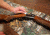 Drymate Large Gun Cleaning Pad, Realtree XTRA, 14in X 46in, GP1446RT