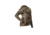 DSG Outerwear Bexley 3.0 Ripstop Tech Shirt, 2XS, Realtree Edge, 51934