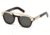 DSquared DQ0236 Sunglasses - Dark Havana Frame Color, Green Lens Color