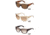 Dsquared DQ-0017 frame colors