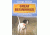 DT Systems Great Beginnings DVD Training Pointing Dogs, D011