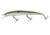 Duckett Fishing BD 110 Suspenfing Jerkbait, Green Gizzard Shad, 110 mm, MXJS110 GGS