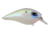 Duckett Fishing BD 1.5 Squarebill Crankbait, Majestic Shad, 1.5, BD1.5-MS