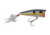Duckett Fishing BD 60P Popper, Ghost Sexy, 60 mm, BD60-GS