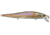 Duckett Fishing BD Flat, Threadfin Shad, 0.375, DBFSS TFS