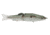 Duckett Fishing BD Glider, Green Shad, 7 in, BDGLIDE7-GRN SHAD